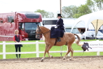 SBM_03323