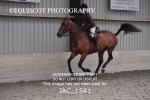JAC_1541