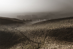 Maiden Castle Fog #3, Dorset