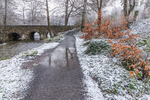 Minnowburn in Winter, Belfast.