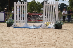 SBM_45497