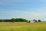 Hortobágy National Park, Hajdú-Bihar county, Hungary