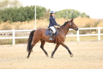 SBM_005417