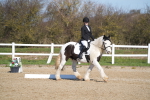 SBM_002013