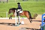 Cls 21 & 22 70cm Club & Schools portfolio