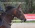 BPP_4901