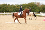 SBM_001369
