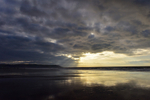 ACP_8950-1