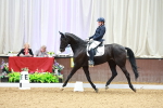 SBM_004047