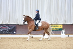 SBM_020741