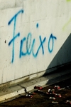 Freixo