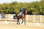 SBM_016646