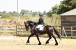 SBM_003437