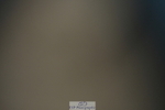 230708A-122321-01343