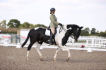 SBM_07951