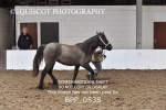 BPP_0538