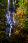 Autumn Falls