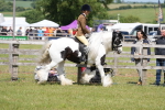 SBM_17089