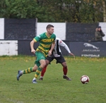 Runcorn Linnets portfolio