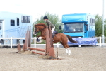SBM_12242