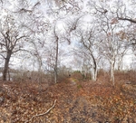 Following Henry Thoreau - Outer Cape Cod