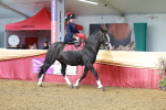 SBM_13548