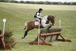 BVHT 140517  IXC -452