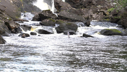 C0017-5