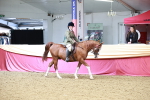 SBM_02974
