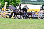 SBM_07992