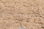 240706A-104051-00478