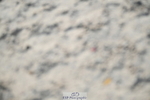 251004A-113548-00664