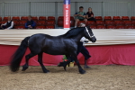 SBM_17397