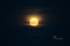 Harvest Moon Over the Atlantic_Maine