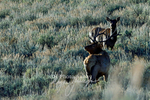 3HPhotography_Grand_Teton_OCT2025_00670
