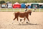 SBM_04615