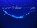 Lumo Marlin Bone Carving.