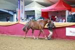 SBM_16005