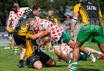 Rugby Sevens Festival 2020-1