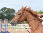 BPP_0449