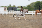 SBM_21821