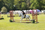SBM_12784