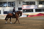 SBM_13010