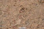 231013A-154040-03083