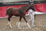 JAC_5750
