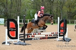 Area 6 Arena Eventing at Wellington11-04-26 portfolio