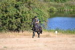 WJ6_6753
