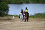 WJ6_9135