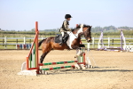 SBM_000231