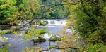 Aysgarth Falls, Wensleydale -  Not Available as a Greeting Card